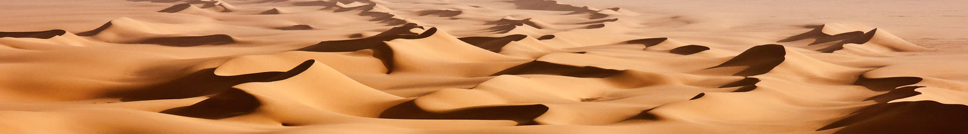 3918iStock 000004580550 Large