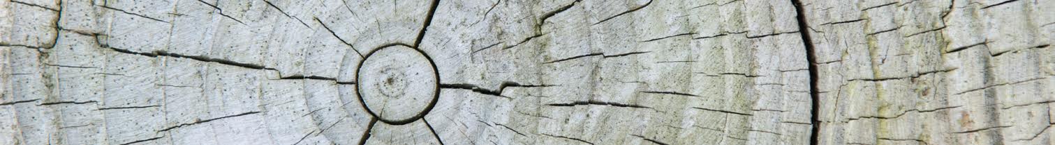 4178iStock 000006310627 Large